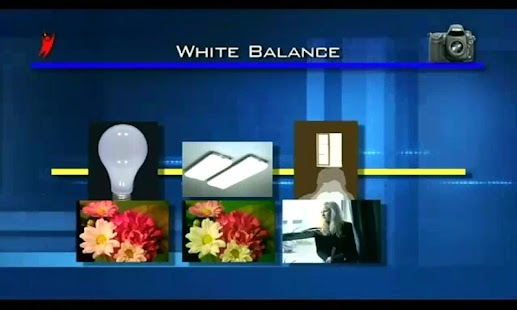 How to download Guide to Nikon D700 2.0.0 apk for android