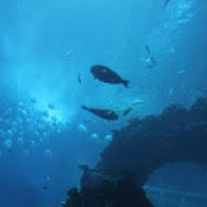 【屏東H會館】H餐廳