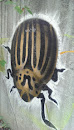 Beetle Graffiti