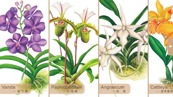 Lastest Gorgeous Garden APK for Android