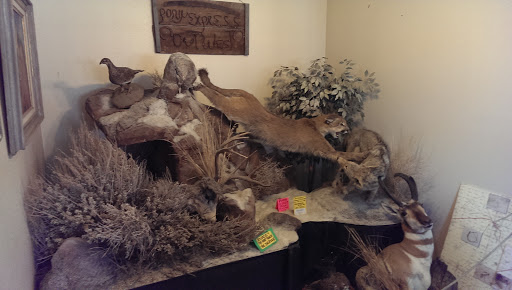 Pony Express Out West Wildlife Display