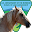 BLM Mustang Adoption Gallery Download on Windows