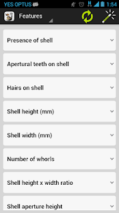 How to mod Terrestrial Mollusc Key 1.0.5 unlimited apk for laptop