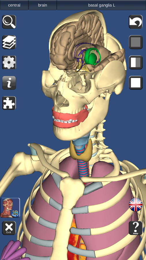 3D Anatomy Lite screenshot