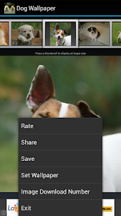Download Dog Wallpaper APK for PC