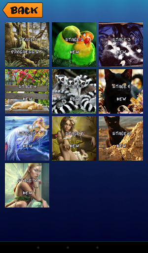 Jigsaw Puzzle Gold Collection