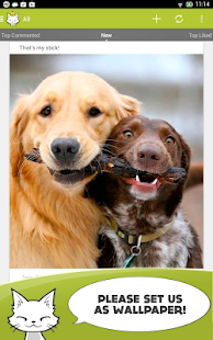 Cute Animals Photos Wallpapers Screenshots 0