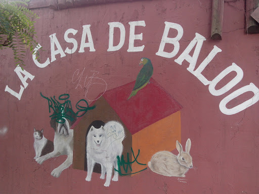 La Casa De Baloo 