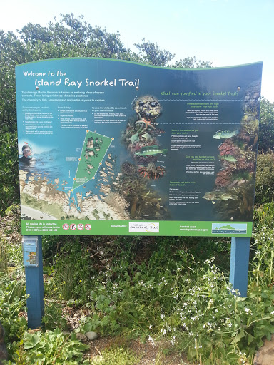 Island Bay Snorkel Trail