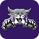 Weber State Wildcats: Free APK