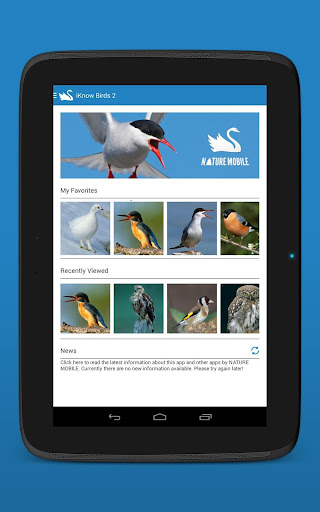 【免費書籍App】iKnow Birds 2 LITE - Europe-APP點子