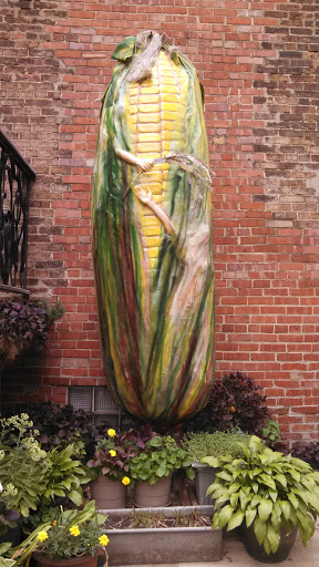 Corn Cob Art
