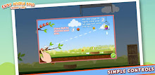 Cute Angry Bird : Eggs APK