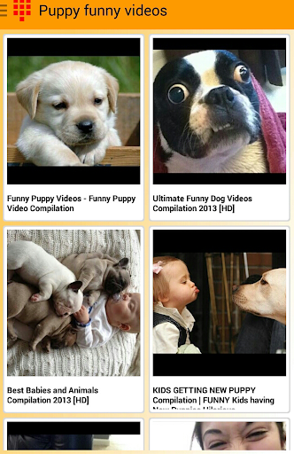 Happy Puppies Videos