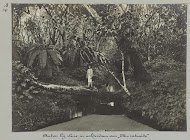 Anton bij sluis in achterdam van "Ma retraite"