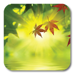 Cover Image of Unduh Fallen Leaves Ripple LWP 1.1 APK
