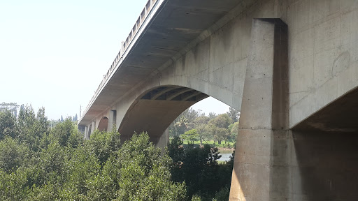 The Umgeni River Bridge