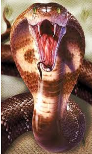 Scary Snake Prank