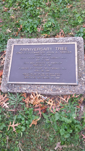 Aniversary Tree