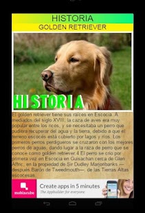 GOLDEN RETRIEVER Screenshots 0