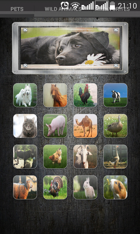 Android application Animal Sounds screenshort