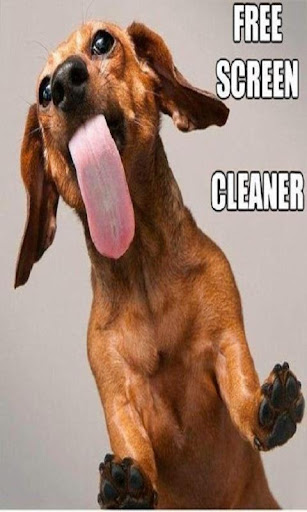 Screen cleaner dog