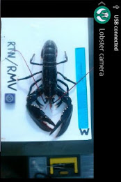 Doris by FoAM poster 3