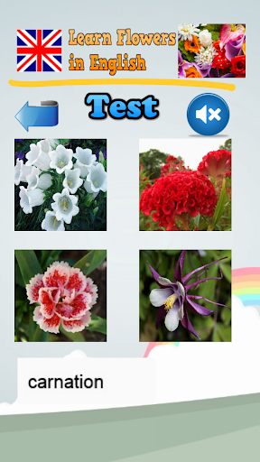 免費下載教育APP|영어로 꽃 의 이름을 알아보십시오 app開箱文|APP開箱王