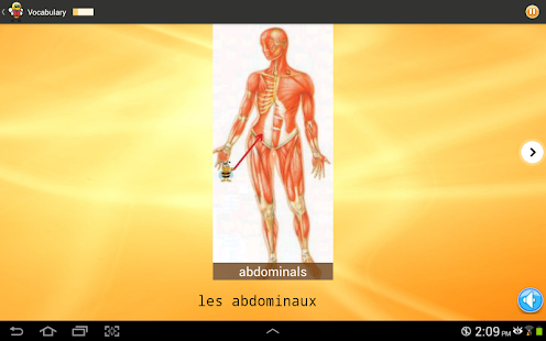 Learn French 6000 Words - screenshot thumbnail