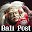 Bali Post Download on Windows