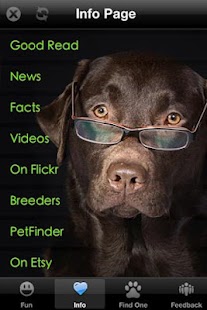 How to get Labrador Retriever+ Free lastet apk for bluestacks