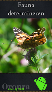 Download Vogels e.a. fauna determineren APK for Android