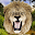 Guess That Animal Free Download on Windows