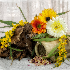 Rustic Charm by Astrid Pardew - Flowers Flower Arangements