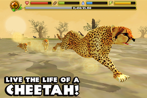 Cheetah Simulator