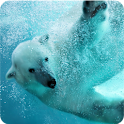 White Bear logo
