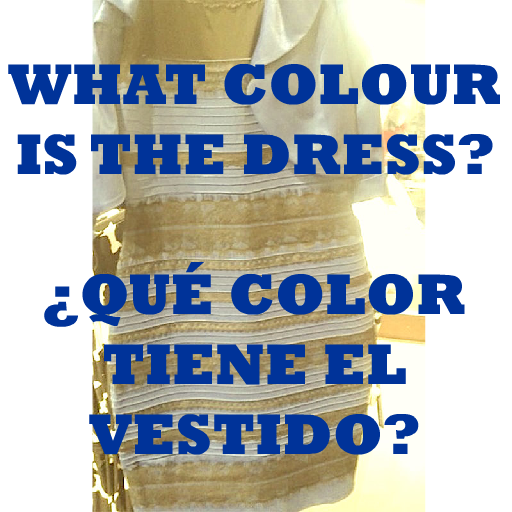 COLOR VESTIDO COLOUR DRESS