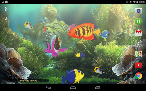 免費下載個人化APP|Exotic Aquarium Live Wallpaper app開箱文|APP開箱王