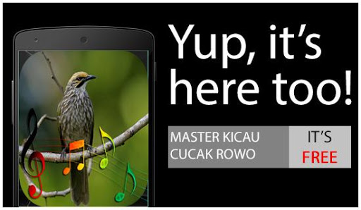 Master Kicau Cucak Rowo