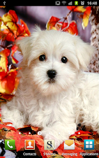 Cute Puppies Wallpapers Screenshots 6