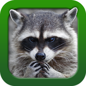 Jagdpraxis.apk 0.0.40