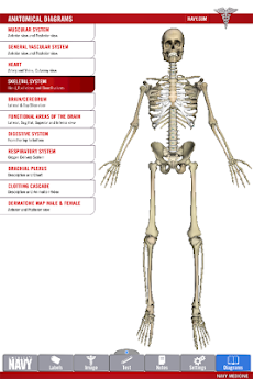Anatomy Study Guideのおすすめ画像1