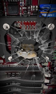 Gerbil live walpaper Screenshots 0