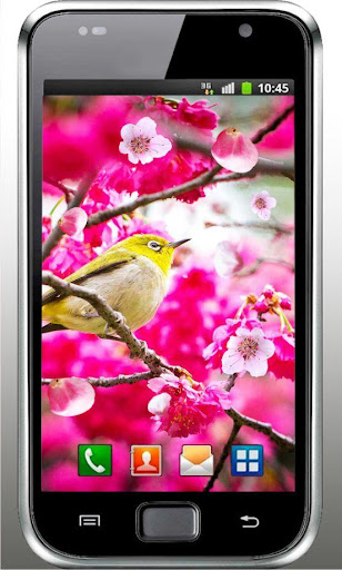 March 8 Spring live wallpaper