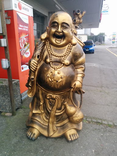 The Buddha of Mägenwil