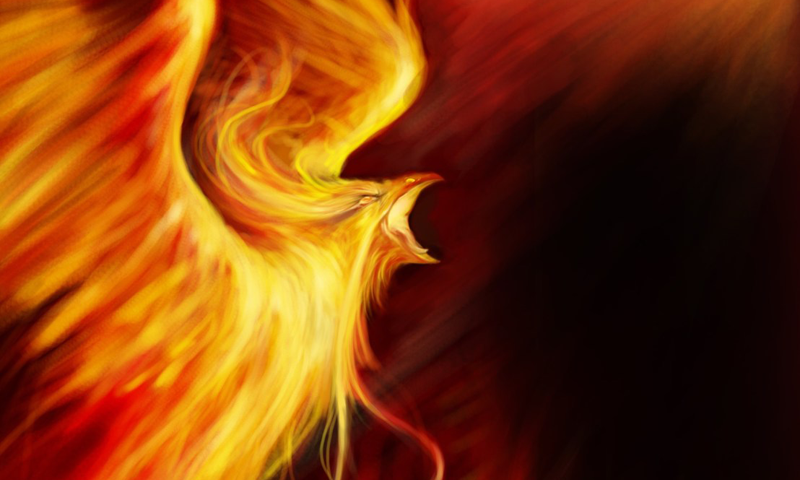 Rising phoenix wallpapers - Android Apps on Google Play