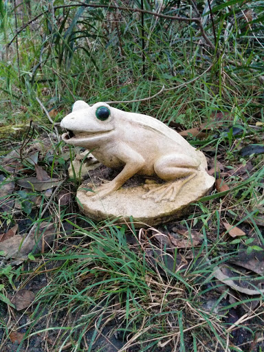 Princes Park Frog 