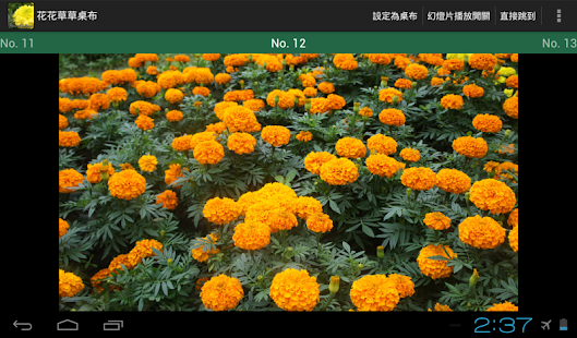 Flowers Wallpaper Screenshots 2