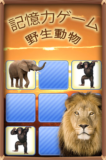 記憶力ゲーム 野生動物 フォト