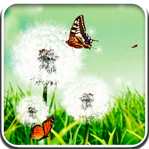 Dandelion Grass Live Wallpaper.apk 2.0